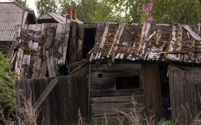 3 Reasons to Get Rid of an Old Shed