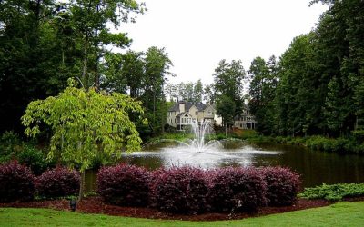 What is the Easiest Junk Removal in Alpharetta?