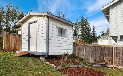 The Top 5 Reasons to Remove an Old Shed From Your Property