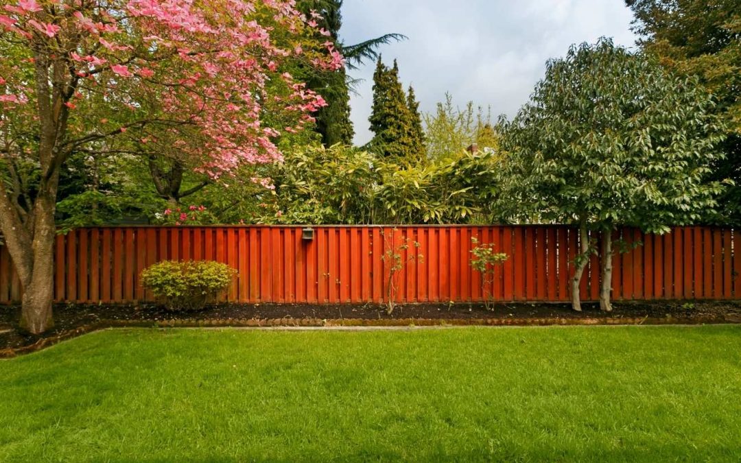 5 Benefits to Yard Cleanup Services in Alpharetta