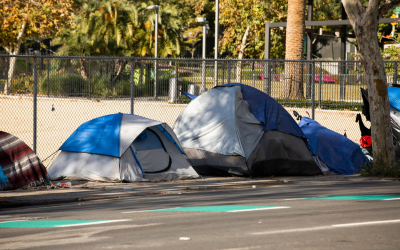 What to Expect During a Homeless Camp Cleanup Service