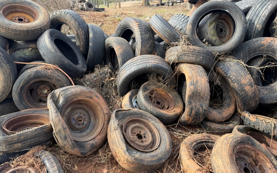 5 Signs It’s Time to Call for Tire Removal