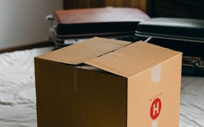 Survival Guide for UGA Parents: Tackling Move-In Week Without the Meltdown