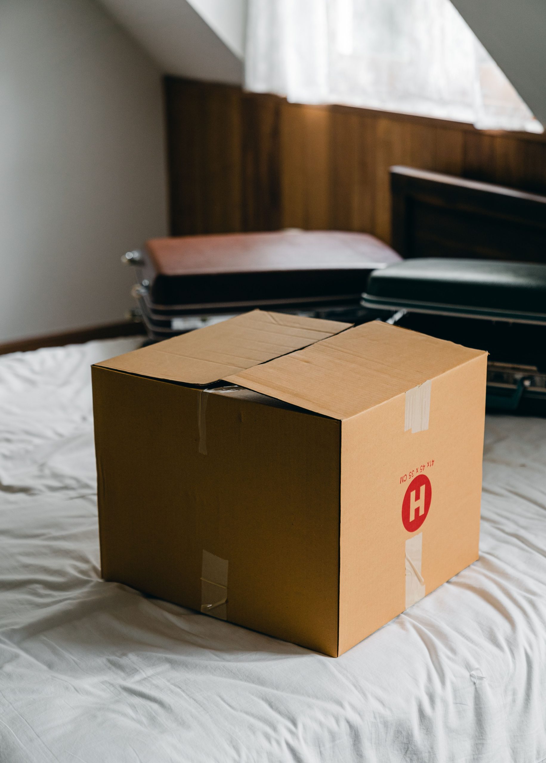 Best Junk Removal in Athens Best Junk Removal in Athens